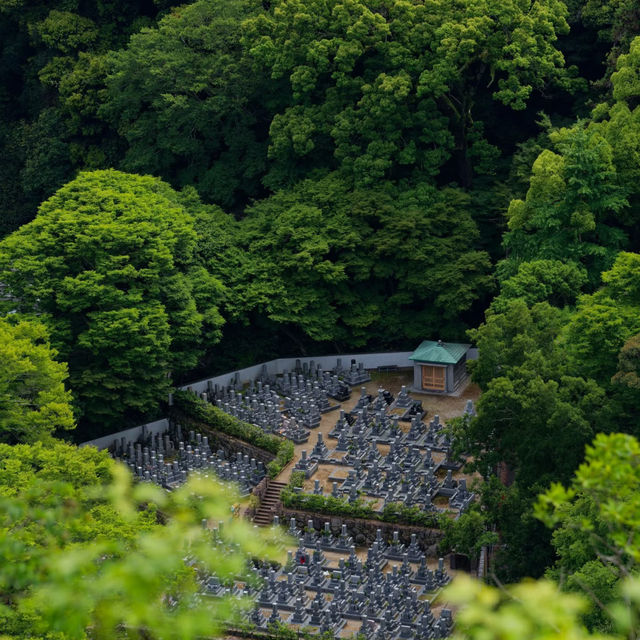 大阪Forest park森林公園🌲！都市綠肺秘境全攻略，吸氧放鬆必衝！