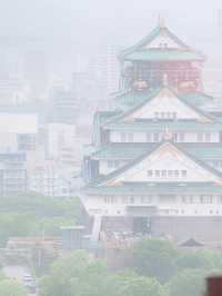 大阪柏典酒店