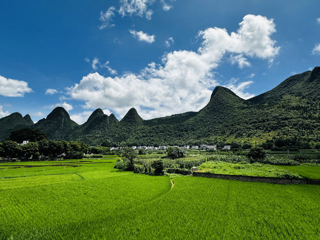 興義昆明9日遊--自然奇觀巡禮