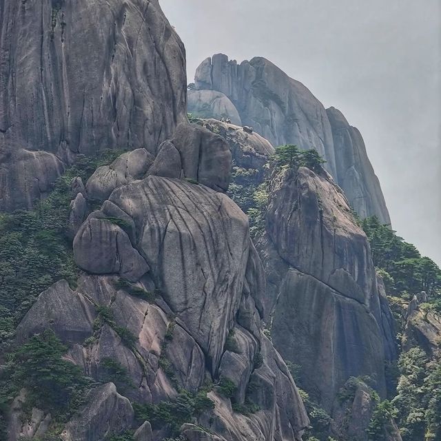 黃山遊玩全攻略｜雲海松濤、奇石溫泉，人生必去的山水畫卷