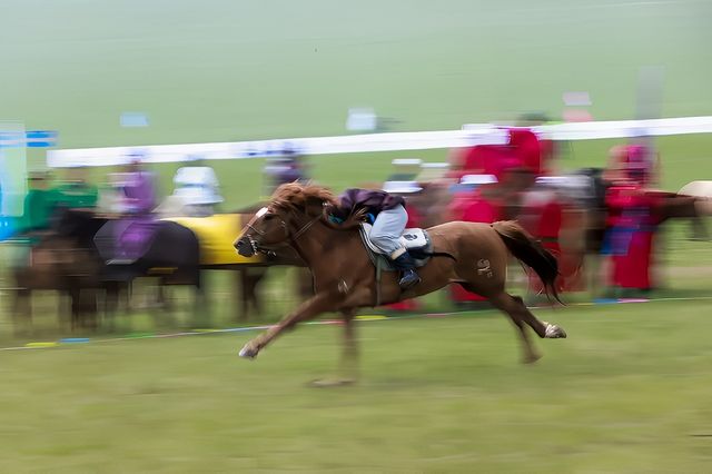 2024年蒙古馬超級聯賽總決賽激動開賽