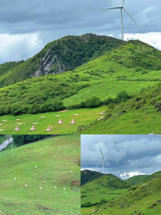 唔係六盤水，佢先係中國嘅「涼都」！
