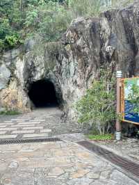 ⛰️香港行山新發現！東梅古道必衝攻略，尋覓大嶼山秘境！