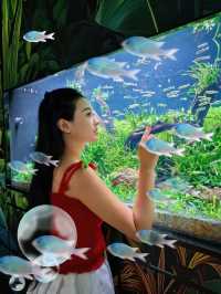 闖入童話海洋館