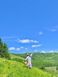 山坡上花開，我與春風撞個滿懷
