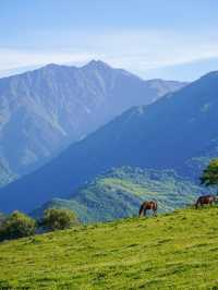 Hotel Indigo Jiuzhai | Riding White Horses into Summer’s Emerald Verse