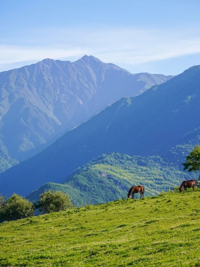 Hotel Indigo Jiuzhai | Riding White Horses into Summer’s Emerald Verse