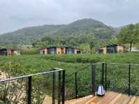住進山裡莫干山開元森泊隱竹裡