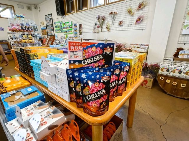 未到盛開時的四季彩の丘