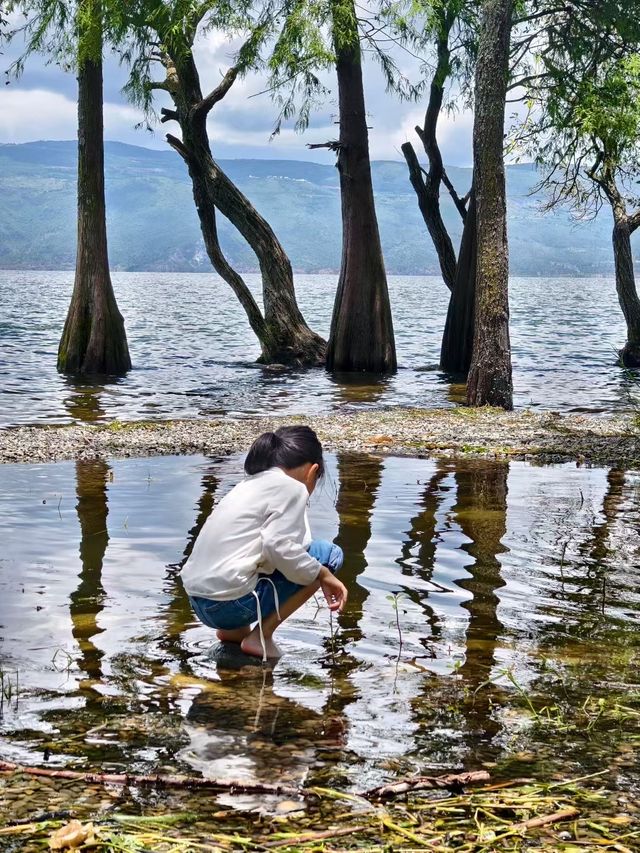 香格里拉