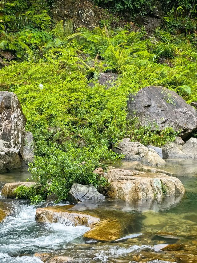 深圳2.5小時直達南昆山，避暑勝地！