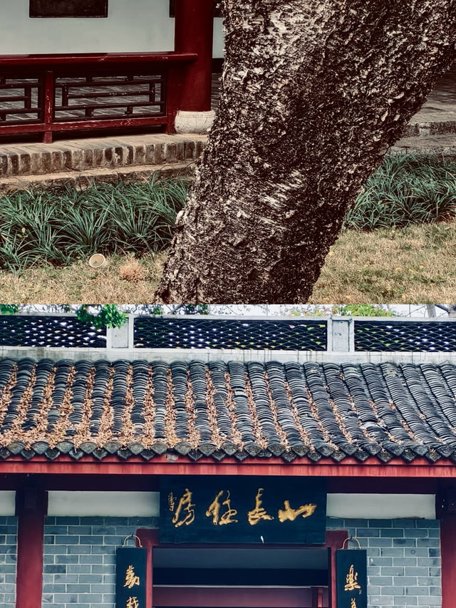 漫步柳侯尋古韻