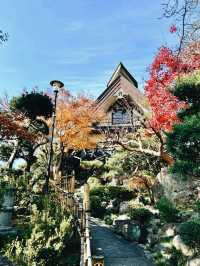 東京隱世名店！ひな鳥山炭火燒鳥流水送餐奇遇記】**  