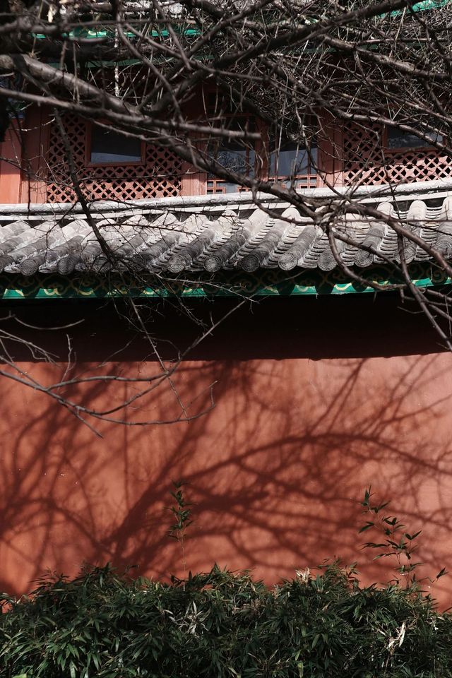 黑龍潭公園真係可以免費入！超值呀！！！
