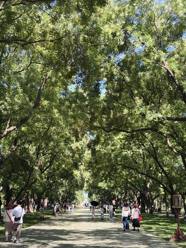 天壇西天門的林蔭道，好美