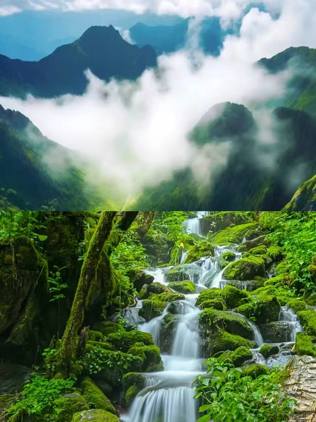 神農架嘅夏天，真係人間理想。