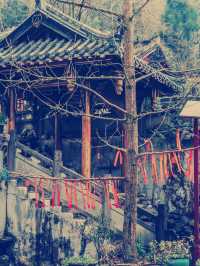 千年禪意遇見晉韻風華】開化寺靜心之旅**  