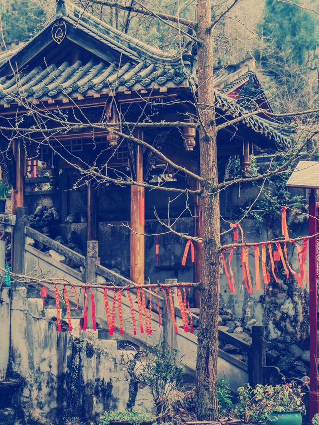 千年禪意遇見晉韻風華】開化寺靜心之旅**  