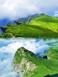 根本抗拒唔到夏天嘅鹿角梁,實在太靚啦