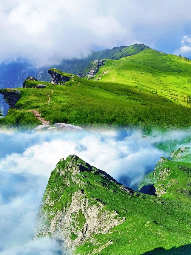 根本抗拒唔到夏天嘅鹿角梁,實在太靚啦 根本抗拒唔到夏天嘅鹿角梁,實在太靚啦