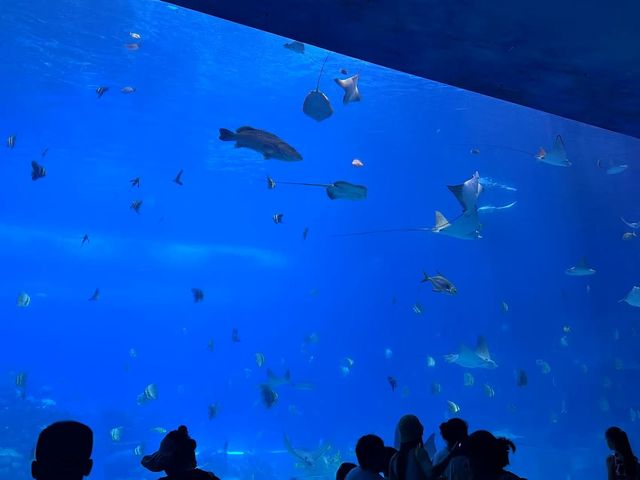 48小時玩轉海洋王國親子黨狂刷10大項目+食住行價格全揭