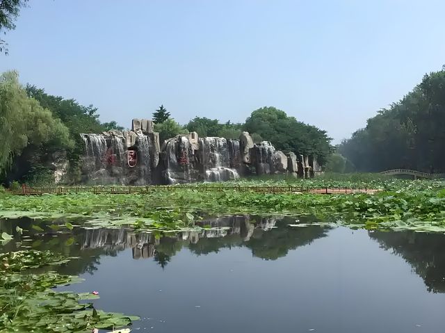 《金秋秘境！人均800蚊解鎖濟寧微山湖2日遊