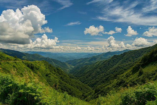 磐安隱藏避暑地!西產村小武功山 磐安隱藏避暑地!西產村小武功山