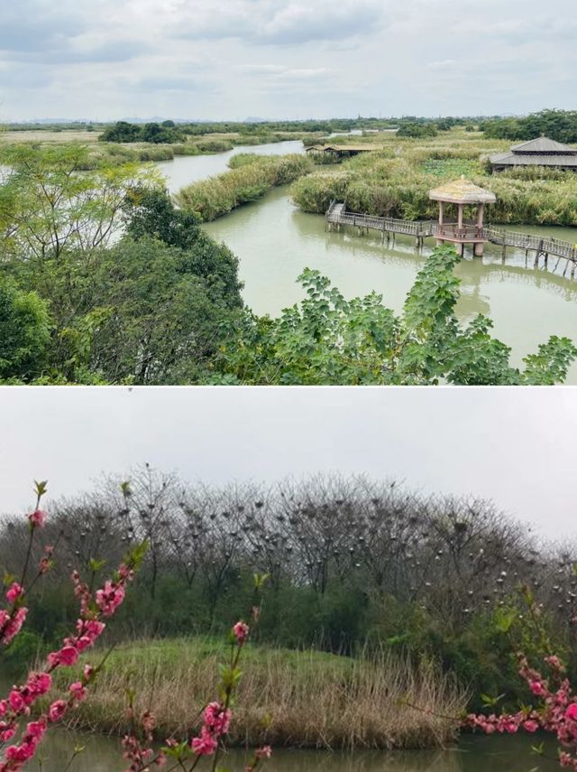 江南水鄉煙雨行 江南水鄉煙雨行