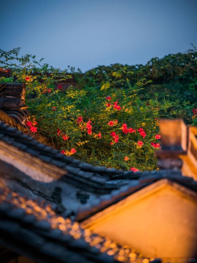 抓住夏天尾巴，與凌霄共赴水尚生活之約！
