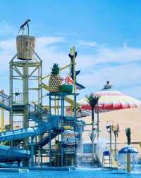 響沙灣  沙漠中的迪士尼