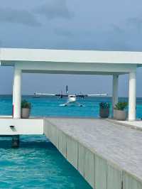 A Birthday Celebration in Paradise