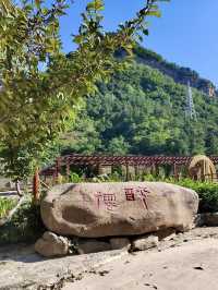 林海酒香——塞罕壩生態酒莊的北方醇味