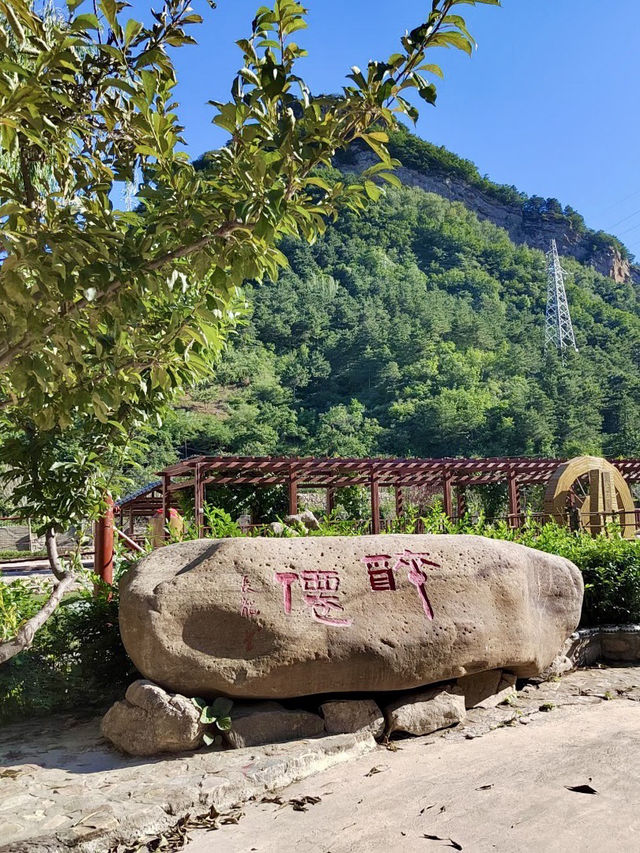 林海酒香——塞罕壩生態酒莊的北方醇味
