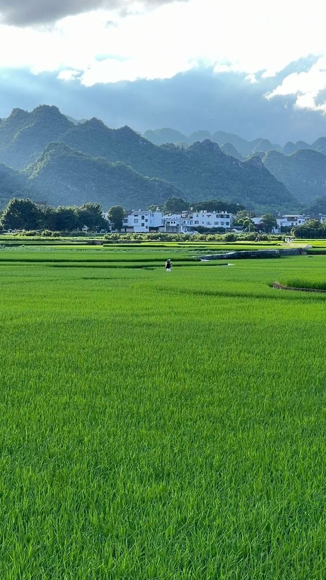 陰雨萬峰林更絕美