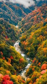 中國紅葉第一山！光霧山賞秋攻略，避開人潮拍大片