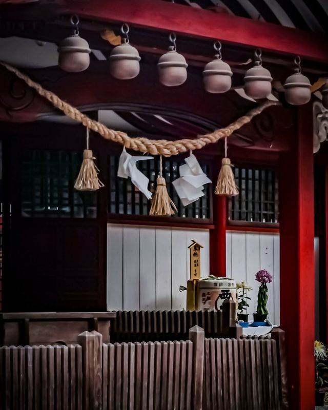 日本九州秘境｜宇佐神宮·三角池的千年神蹟