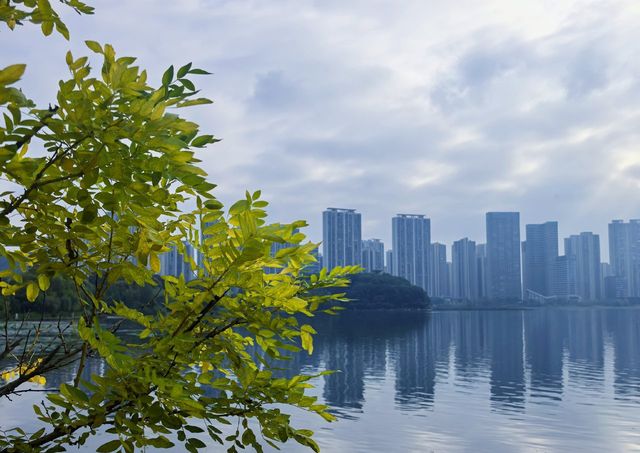 梅溪湖秋日秘境