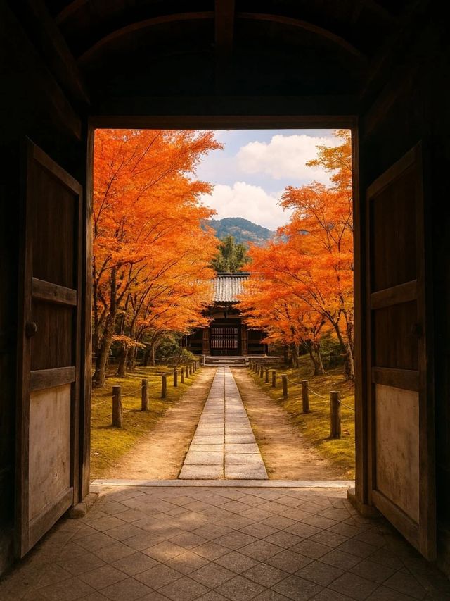 2025年日本超強紅葉攻略