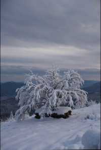 雪後嵩山美出天際！不去長白也能看絕美雪景