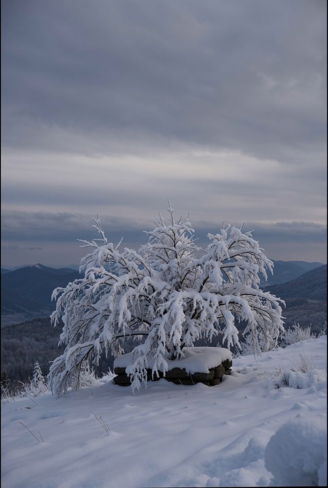 雪後嵩山美出天際！不去長白也能看絕美雪景