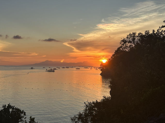 🌅 薄荷島的暮色時光