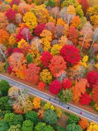 秋日北京限定玩法這份紅葉攻略快碼住！