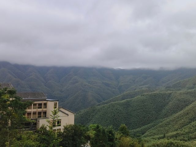 信宜李鄉竹海旅遊度假區
