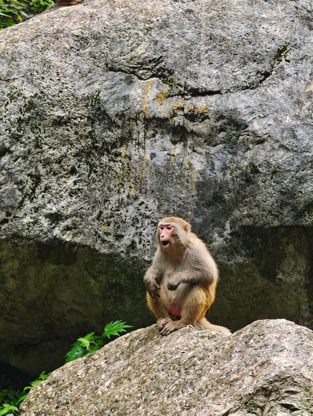 三峽旅行｜放棄大壩選這裡！人均百元拍山水大片