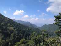 霧隱嵐山火燭幽