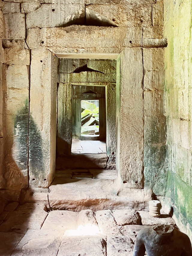 🇰🇭Ta Prohm: Where Stone Dances with Roots & Time Stands Still 🌳🏛️