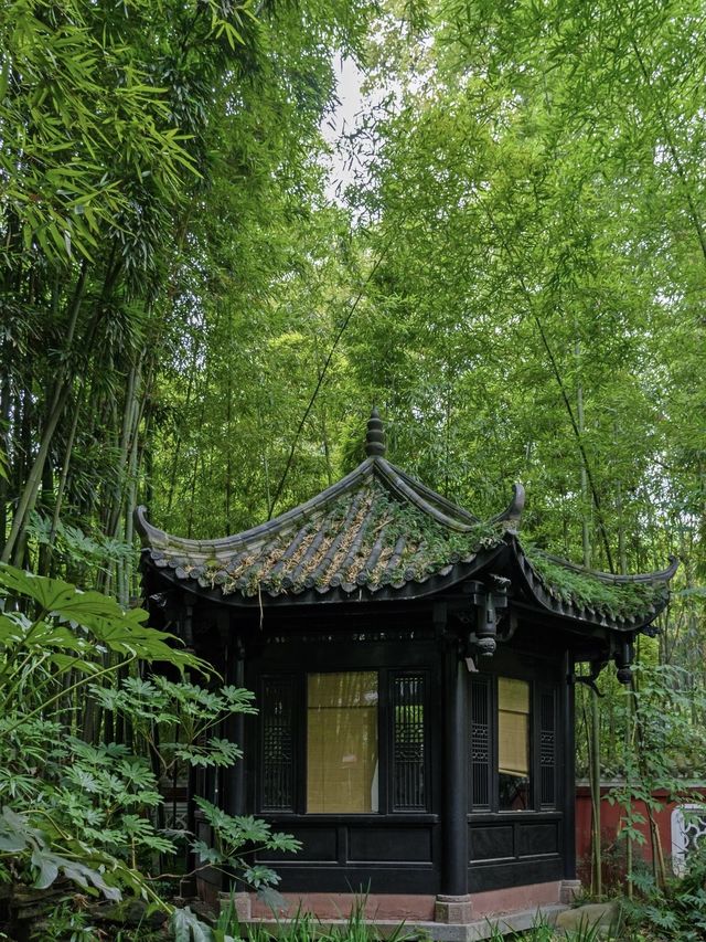 成都最美的7個古風公園…(合集),附攻略!!!!