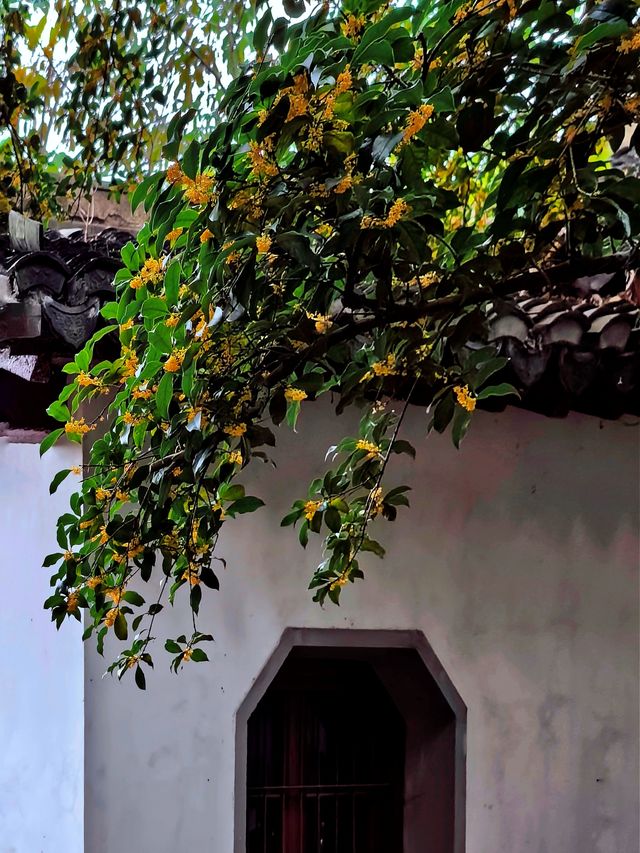 空中步廊俯瞰花草描繪的彩色大地。