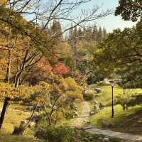  청도의 가을, 이 공원에서 모든 걱정이 사라졌어요 🍂