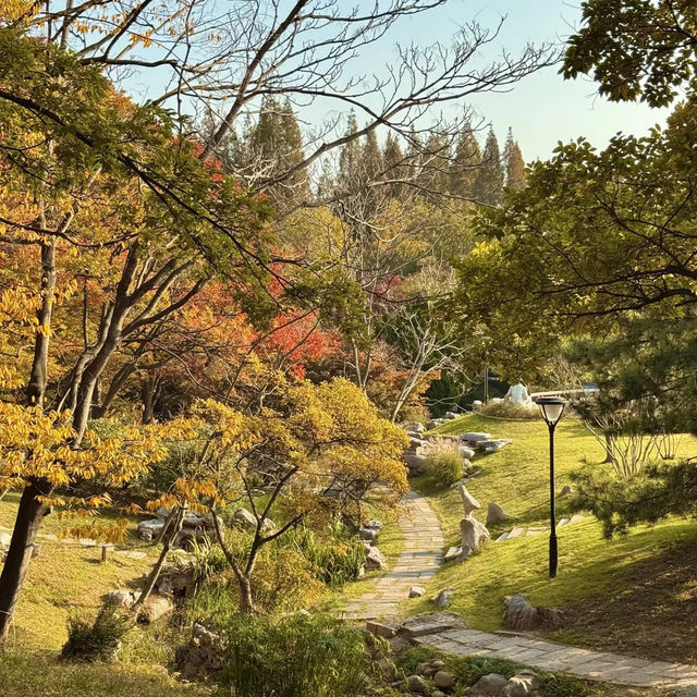  청도의 가을, 이 공원에서 모든 걱정이 사라졌어요 🍂